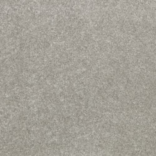 Gs107