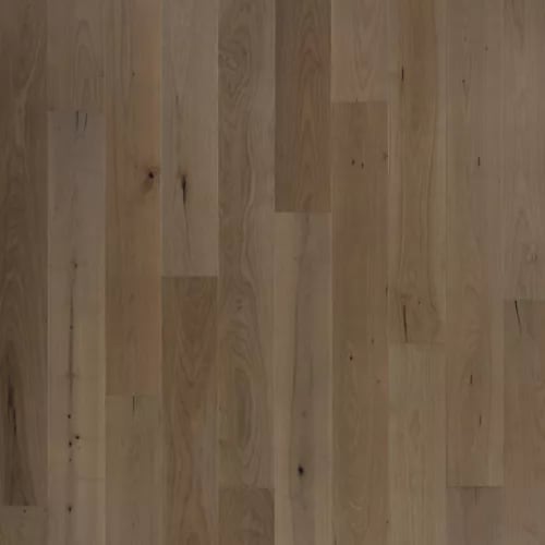 Bellacree in French Gray Maple