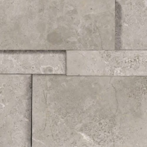 Ritz Gray