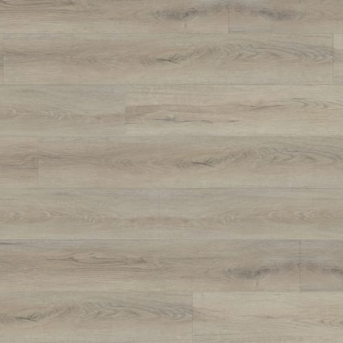 Gallo in Arzon Laminate