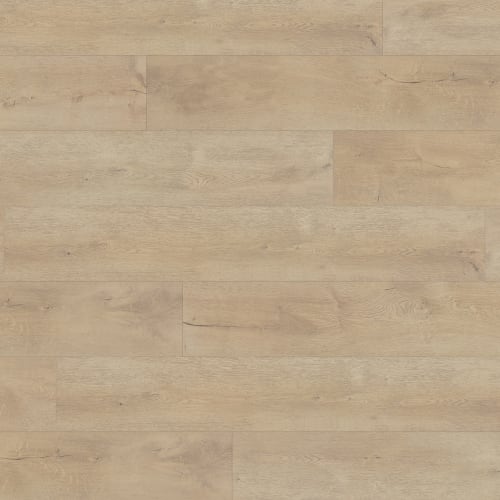 Gallo in Gaelic Laminate