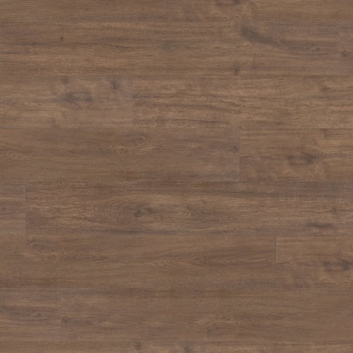 Gallo in Vaporetti Laminate