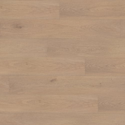 Gallo Xtra in Gondola Xtra Laminate