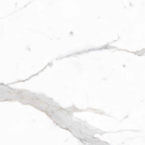 Marmi Classici in Bianco Calacatta - 24 X 24 Tile
