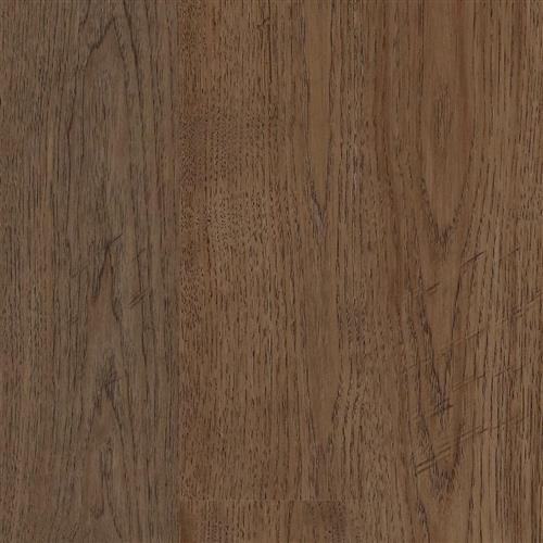 Nouveau 7 Collection in Derby Hardwood