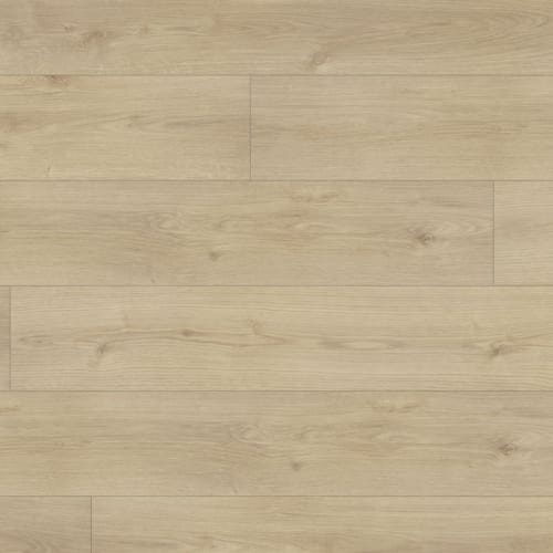 Conquest Xtra in Barbarossa Xtra Laminate