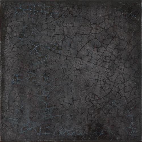 Maiolica in Nero - 8x8 Tile