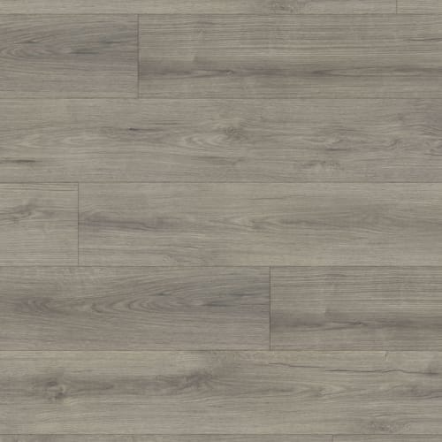 Conquest in Ferdinand Laminate