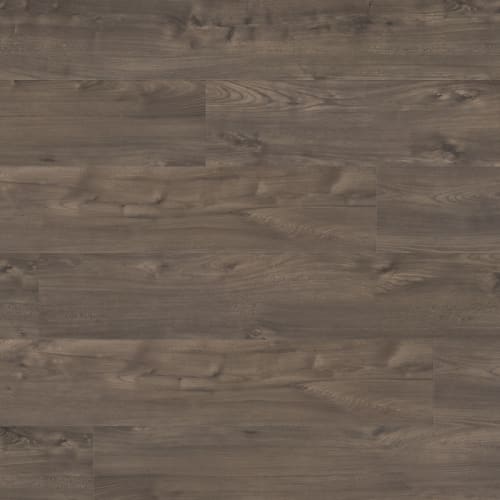Maven Xtra in Johnson Xtra Laminate