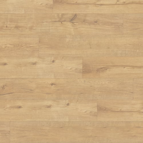 Litora in Nautilus Laminate