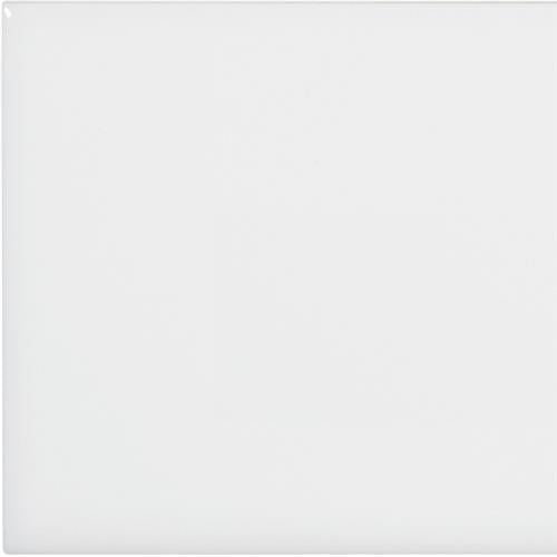 Wall Art/Floor Art in White Glossy - 4x16 Tile