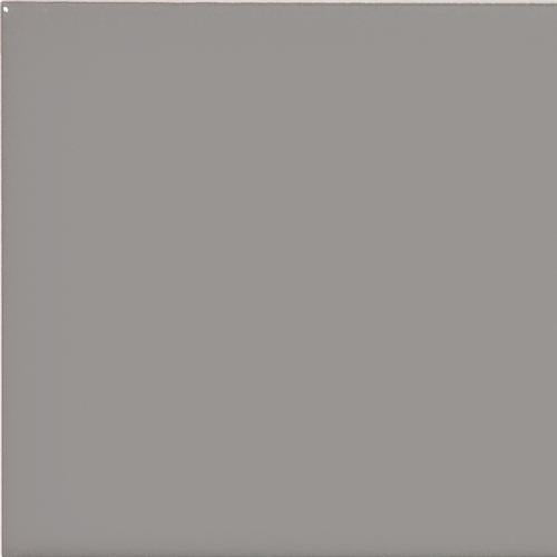Wall Art/Floor Art in Taupe Glossy - 3x6 Tile