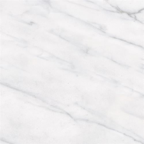 Classic Series in Cararra - 12x24 Tile
