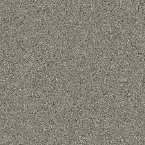 Nyluxe Petguard - Cloudscape