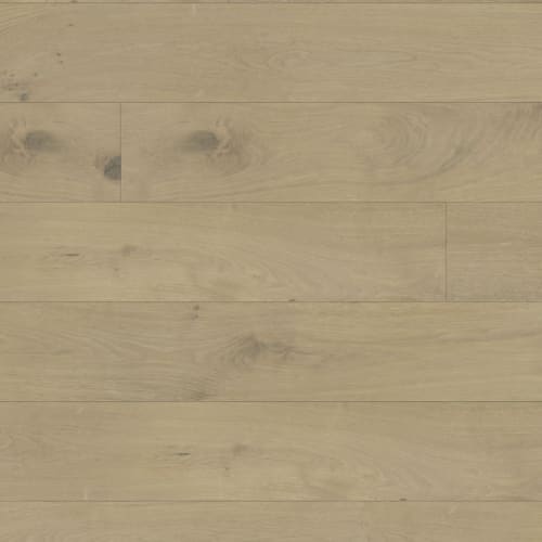Maestro in Joplin Hardwood