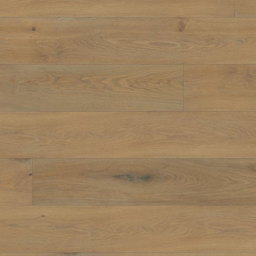 Maestro in Lennox Hardwood
