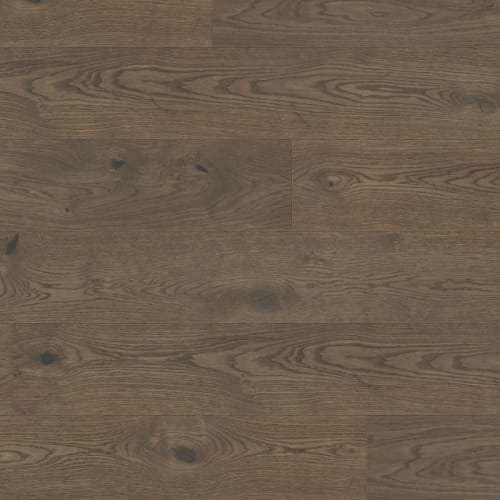 Maestro in Streisand Hardwood