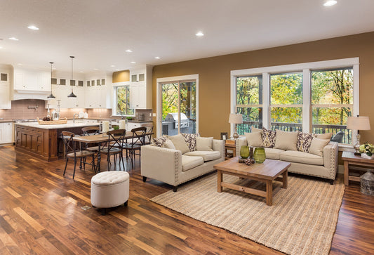 Area rug in living room
