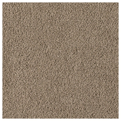 Soft Excellence in Teak