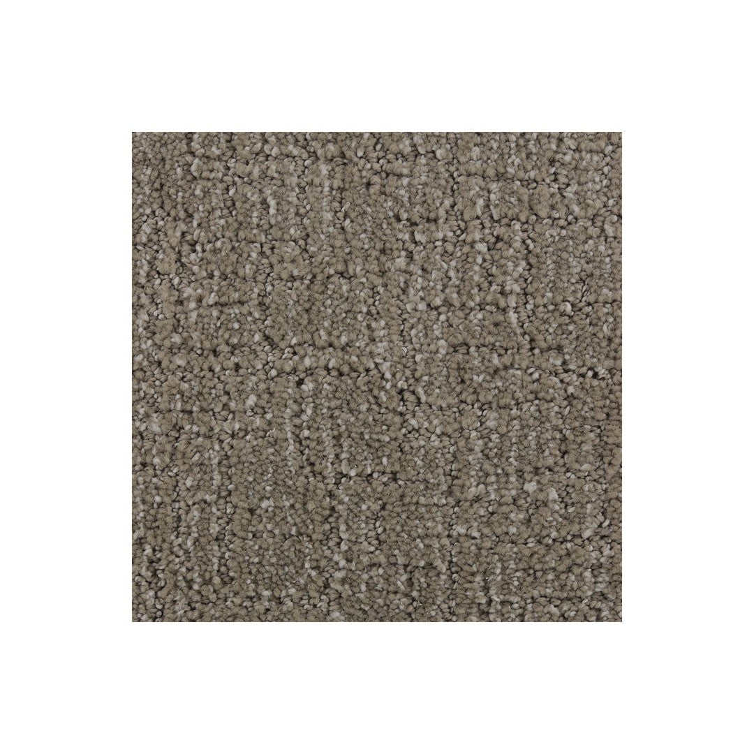 Carefree Nature in Deep Slate