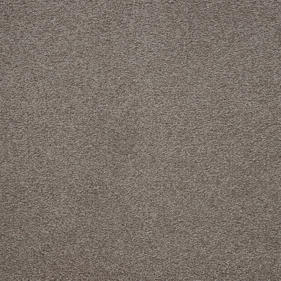 Captivating Style in Heathery Tint
