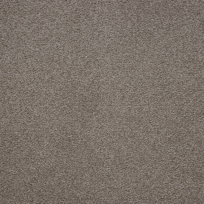 Captivating Style in Heathery Tint