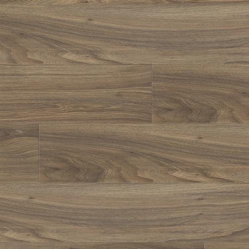 Galaxi II in Bode Laminate