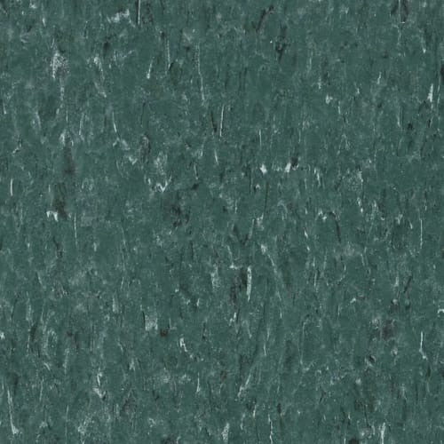 VCT II in Dark Forest