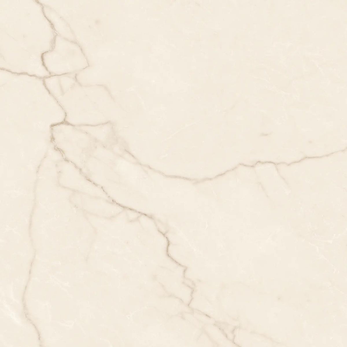 Avorio