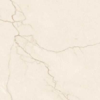 Avorio