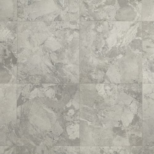Platinum - Capri in Basalt Vinyl Sheet Goods
