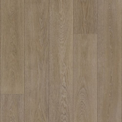 Concepts of Landscape in Boardwalk 6.56'