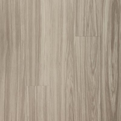 Dodford 20 Db in Fawn Brindle