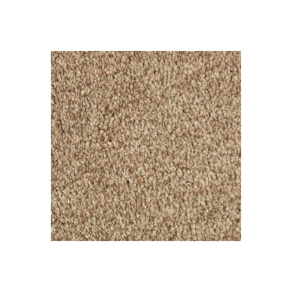 Natural Accents I in Wild Cattail