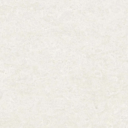 Coral Stone