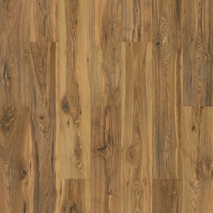 Morena Cliffs in Cattail Pecan