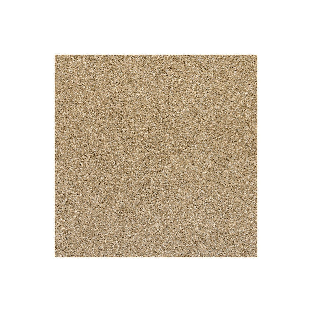 Native Allure II in Hearth Beige