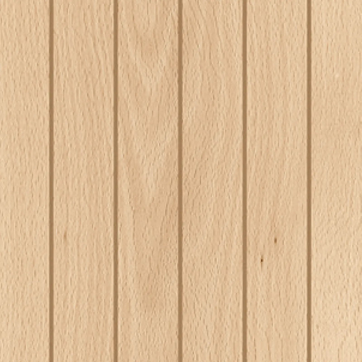 Log Cansei