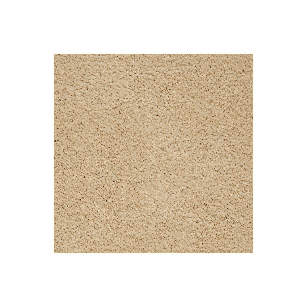 Splendid Freedom in Fine Vellum