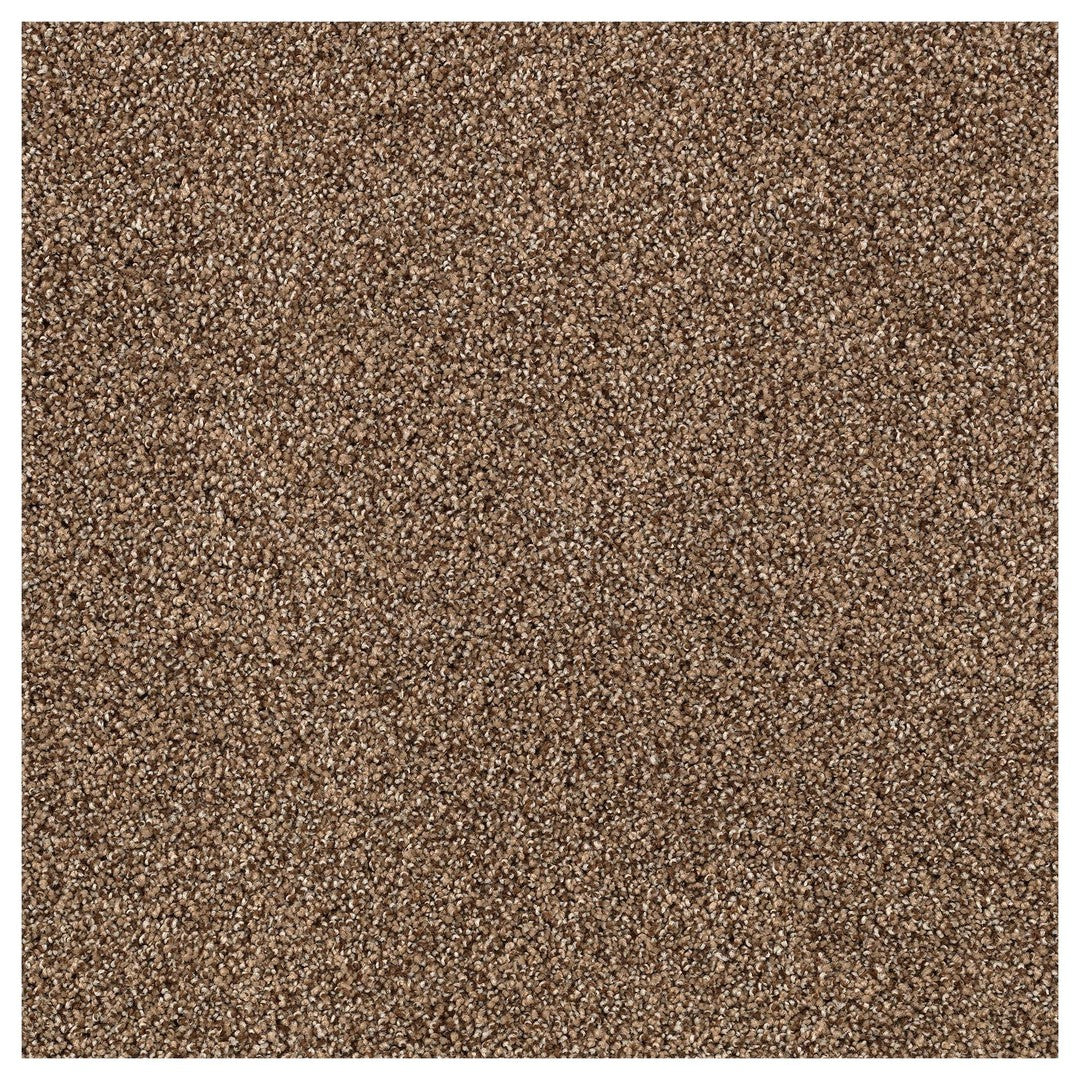 Gentle Quality in Sequoia