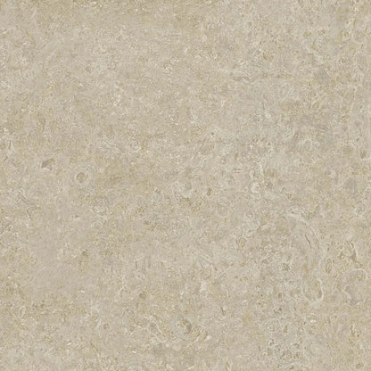 Coral Stone