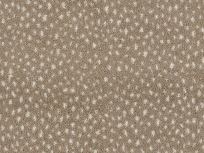 Imagine -  Exotic Escape - Dapple in Dapple Fawn