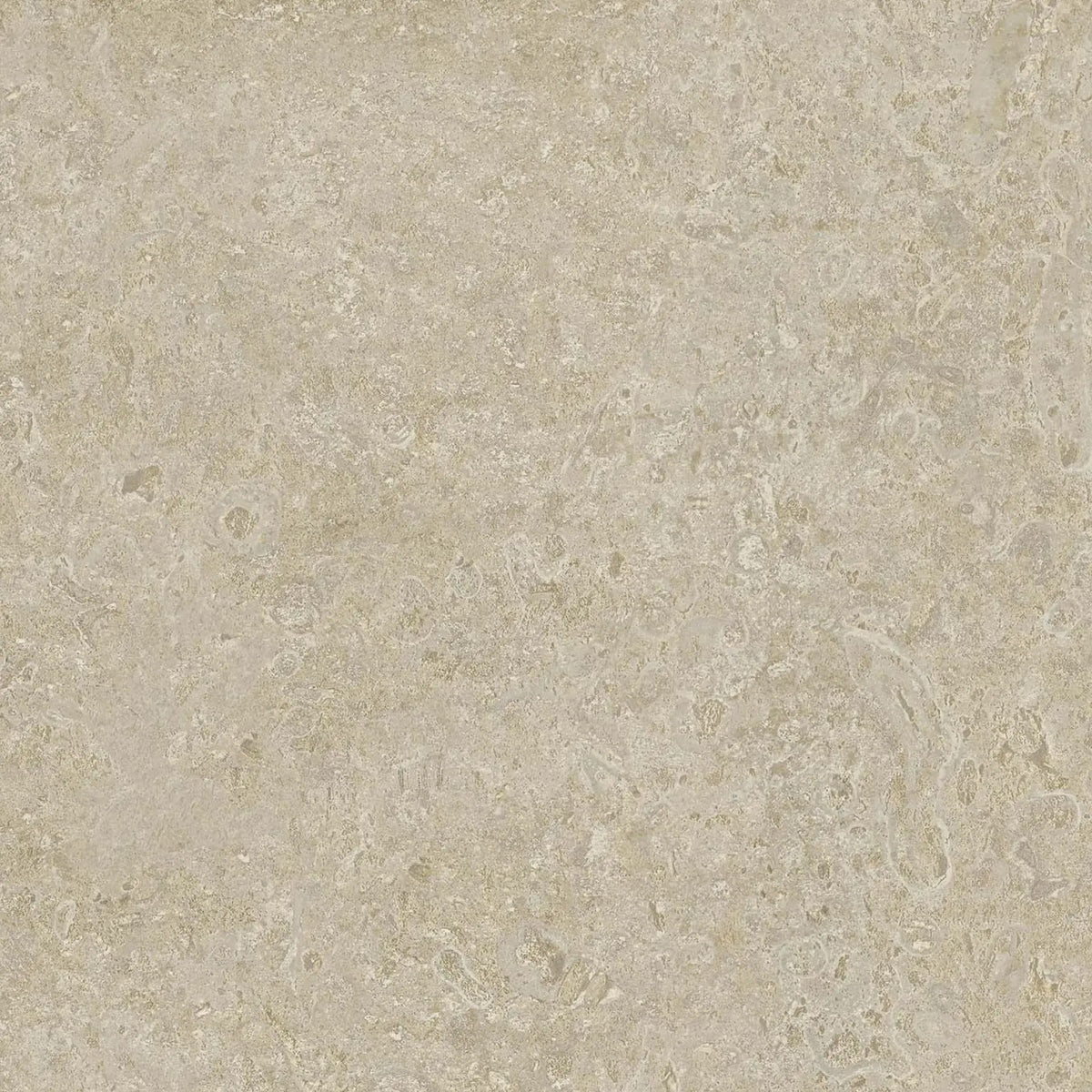 Coral Stone