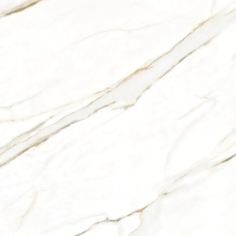 Golden White 24x24 Matte