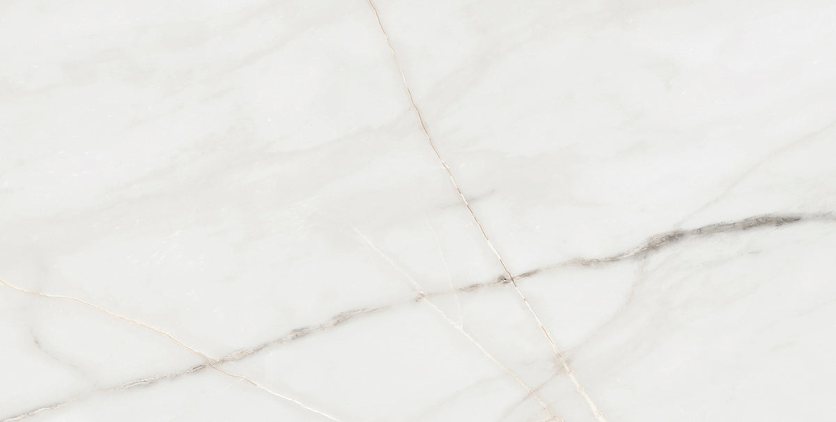 Essenza 12x24