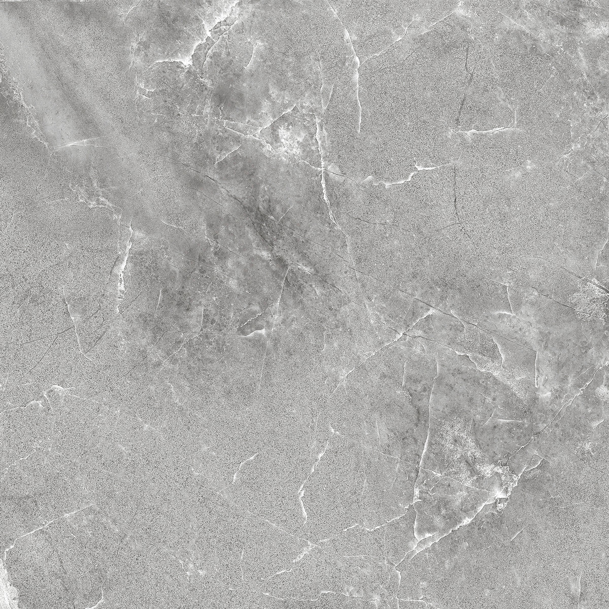 Alabama Gris 12x24