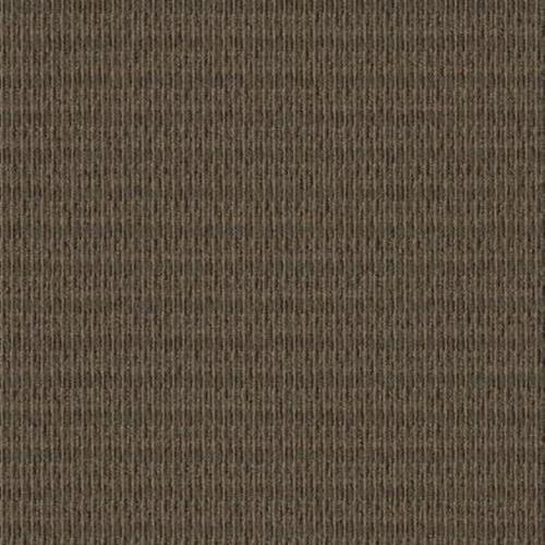 Classify in Persuade Carpet