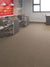Contemplate in Speculate Carpet