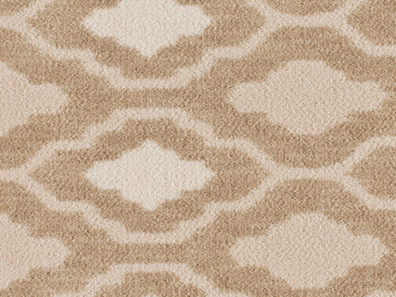 Imagine - Arabella in Camel