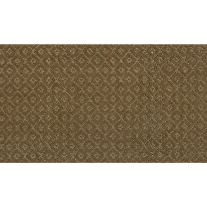 Chic Charm in Sahara Sands